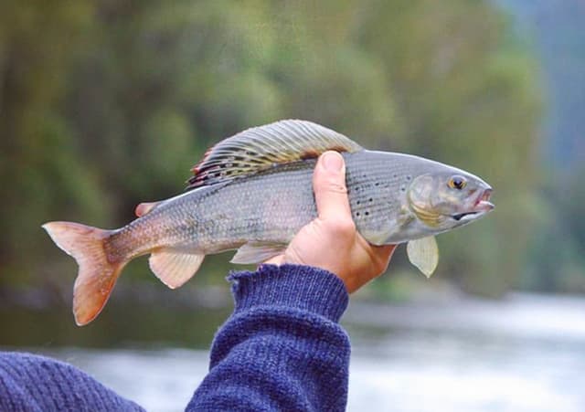 Качественная рыбалка на чистых водоёмах